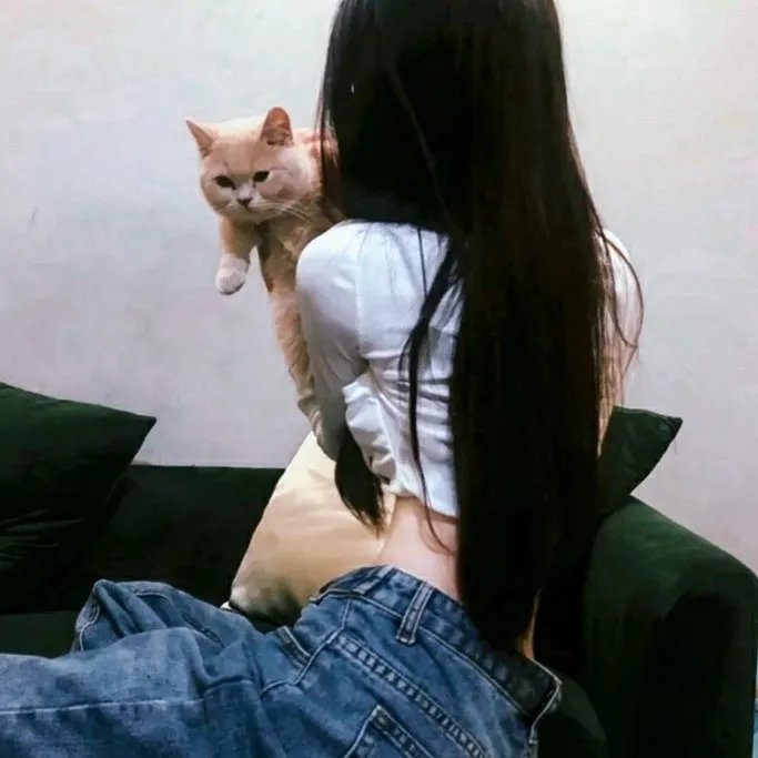 不爱不散